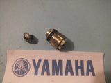 YAMAHA FZS 600 FRAZER CARBURETTOR CARB NEEDLE VALVE SEAT & SCREW X 1  1988 - 2003